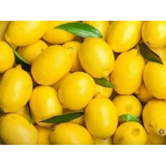 limon yatak -